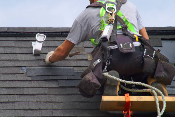 Best Storm Damage Roof Repair  in Edwardsville, PA